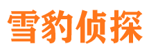 长洲市婚姻调查